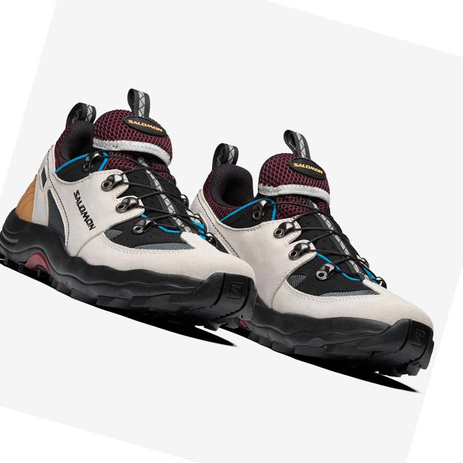 Salomon RAID WIND ADVANCED Tornacipő Férfi Bézs | HU 2169GSO